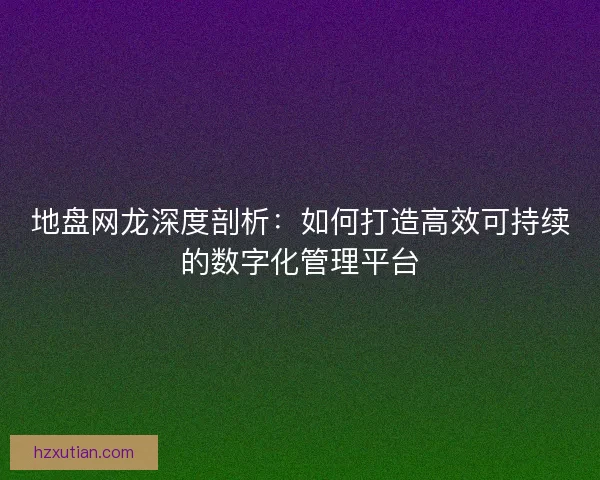 地盘网龙深度剖析：如何打造高效可持续的数字化管理平台